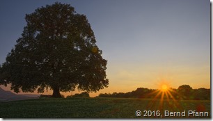 _DSF5053_copy_v1_cloud