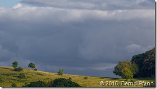 _DSF7179_copy_v1_ON1