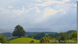 _DSF7226_copy_v1_cloud