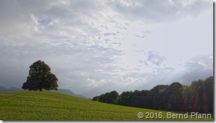 _DSF7228_copy_v1_cloud