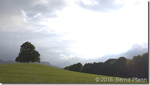 _DSF7228_copy_v3_cloud