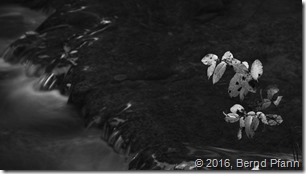 _DSF7432_copy3_v1_fp