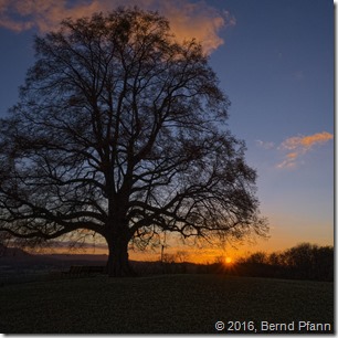 _DSF5475_copy_v1_cloud