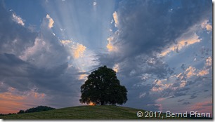 DSCF7974_copy_copy_v1