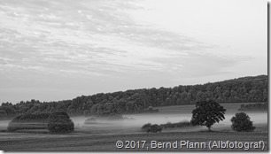 DSCF0494_copy_copy_v1