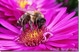 _DSF0050_ON1_Cloud _DSF0050_ON1_Cloud