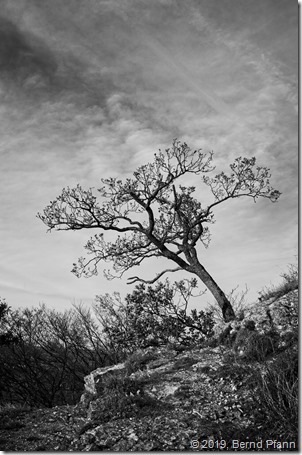 _DSF3203v1_ON1_Cloud