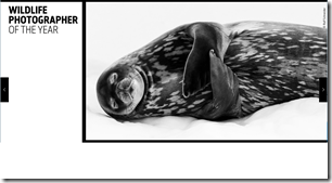 Wildlife Photographer of the Year