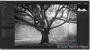 image ON1 Photo RAW 2020.2