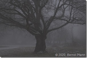 Lineares RAW in ON1 Photo RAW