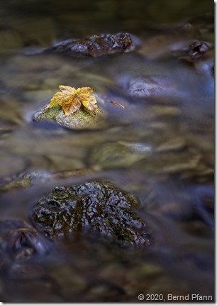 Bachlauf an den Allerheiligen Wasserf&auml;llen