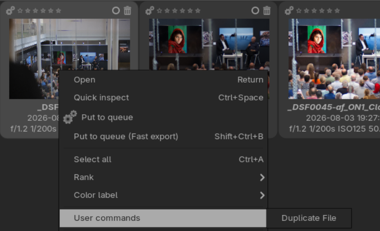 Duplicate User Command
